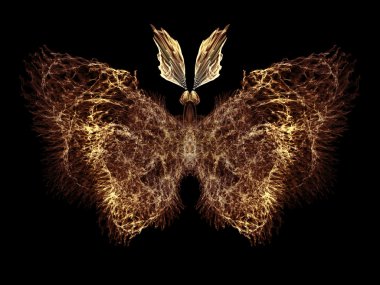 Kelebek yanılsaması