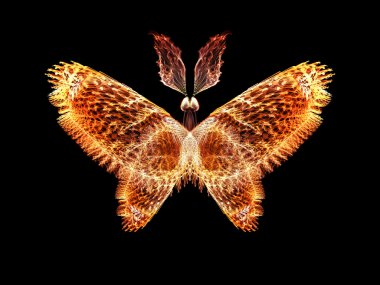 Kelebek görselleştirme