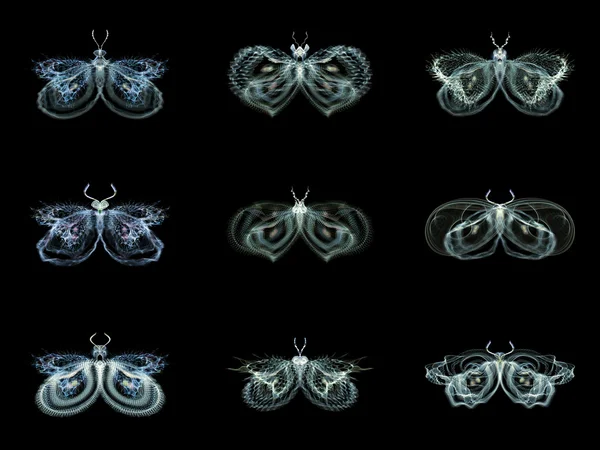 Diversity of Fractal Butterflies — Stock Photo, Image