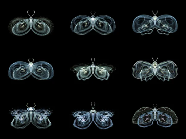 Diversity of Fractal Butterflies — Stock Photo, Image