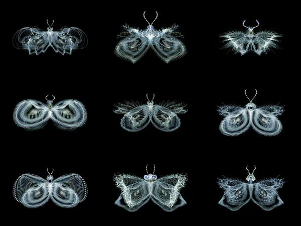 Diversity of Fractal Butterflies — Stock Photo, Image