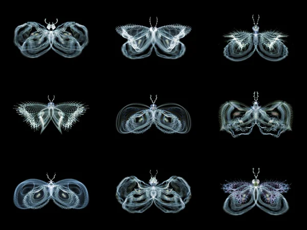 Diversity of Fractal Butterflies — Stock Photo, Image