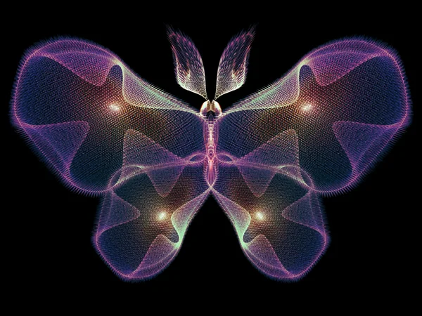 Petals of Butterfly — Stock Photo, Image
