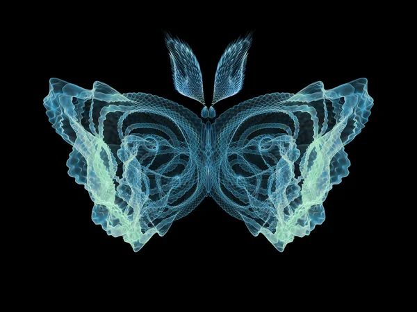 나비 시각화 — 스톡 사진