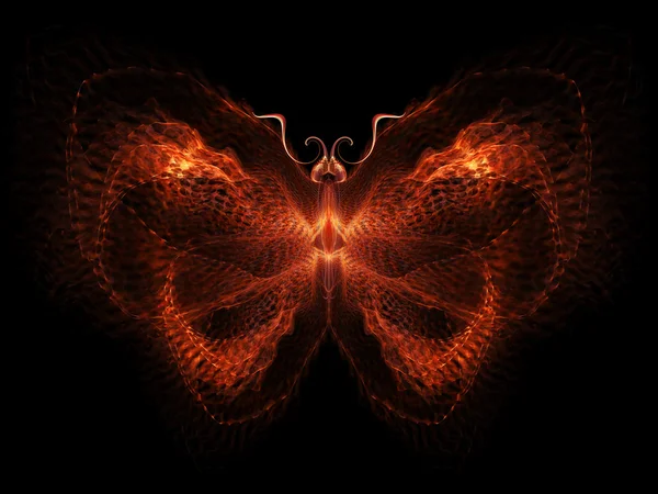 Visualização da borboleta — Fotografia de Stock