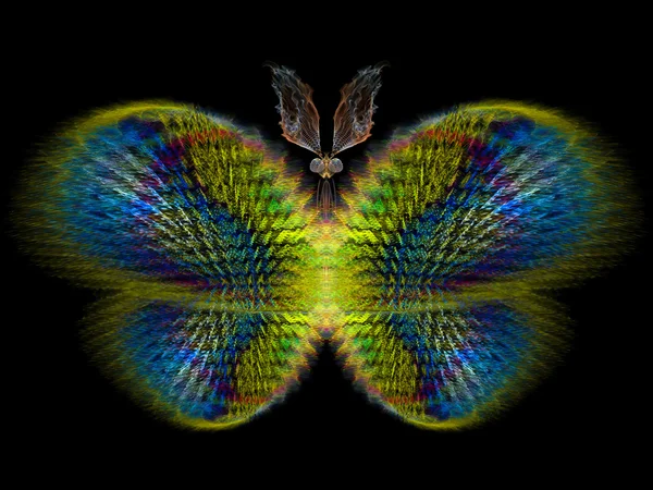 Magie du papillon — Photo