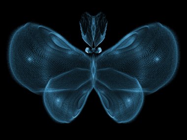 yanlışlıkla kelebek