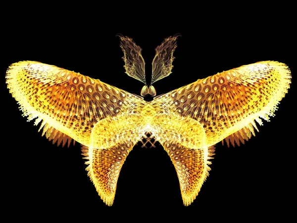 Design papillon — Photo