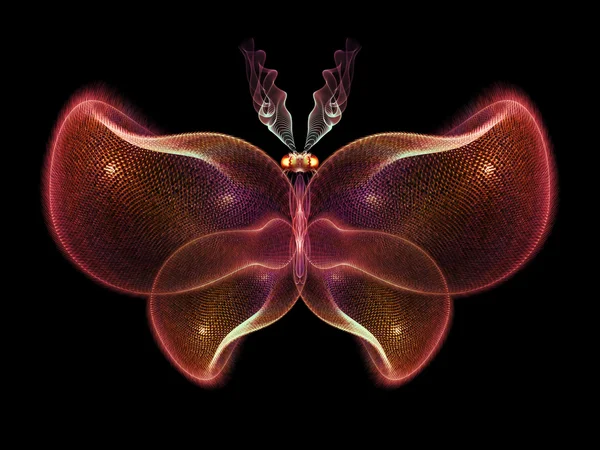 Versehentlicher Schmetterling — Stockfoto