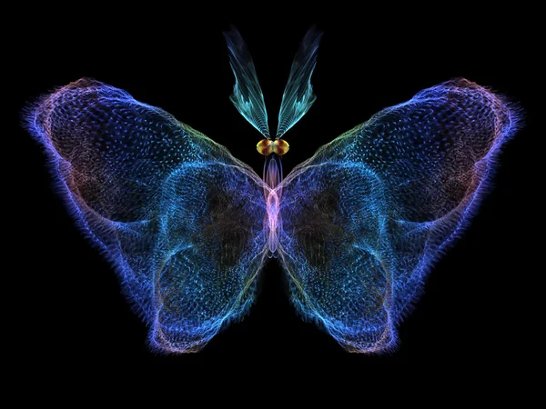 Κομψότητα της πεταλούδας — Φωτογραφία Αρχείου