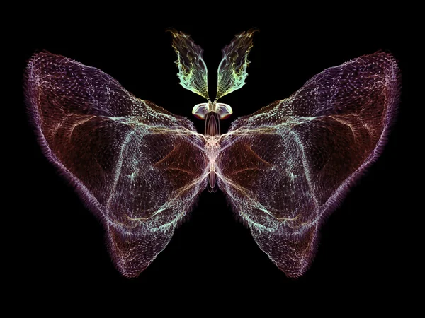 Illusion of Butterfly — Stock Photo, Image