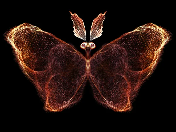 Motýl designu — Stock fotografie