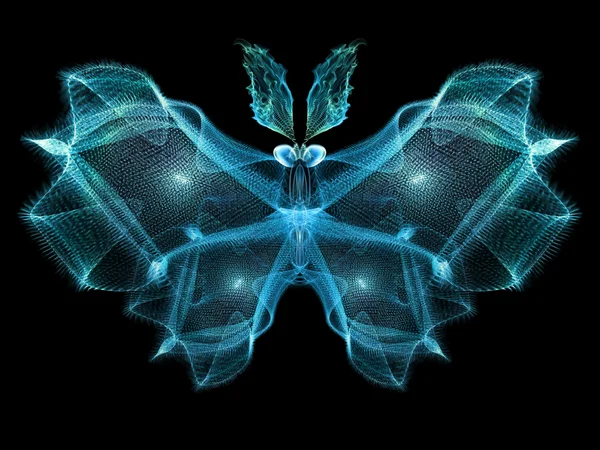 Butterfly Elegance — Stock Photo, Image