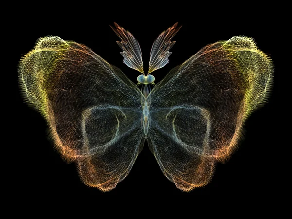 Butterfly Elements — Stock Photo, Image