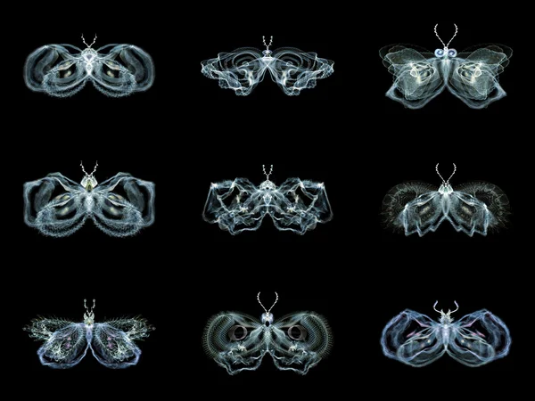 Diversity of Fractal Butterflies — Stock Photo, Image
