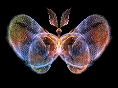 doğru dijital kelebek