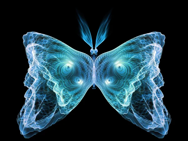 Shining Butterfly — Stock Photo, Image