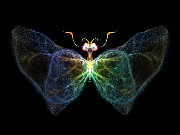 Papillon frais — Photo