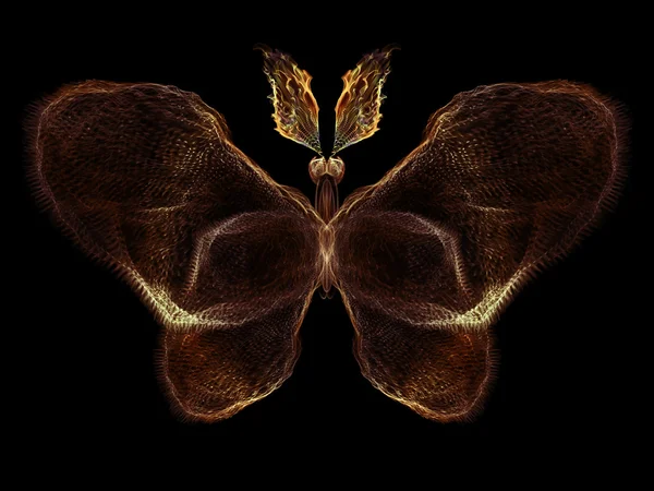 Иллюзия бабочки — стоковое фото