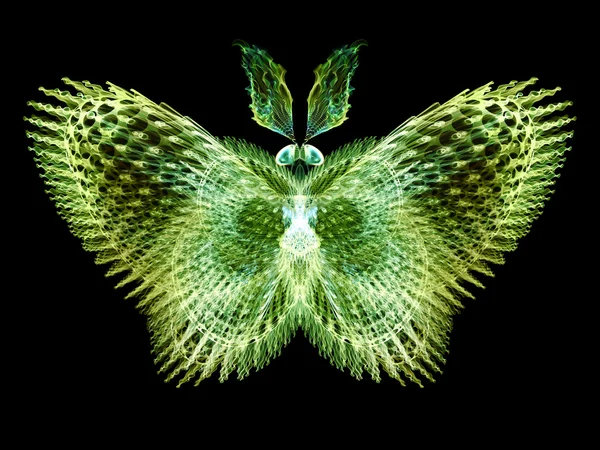 Vlinder visualisatie — Stockfoto