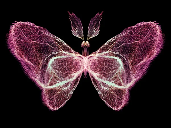 Butterfly Design — Stock Photo, Image