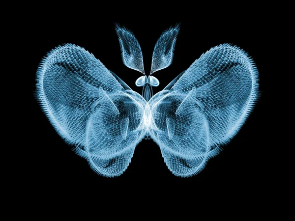 Butterfly ontwerp — Stockfoto