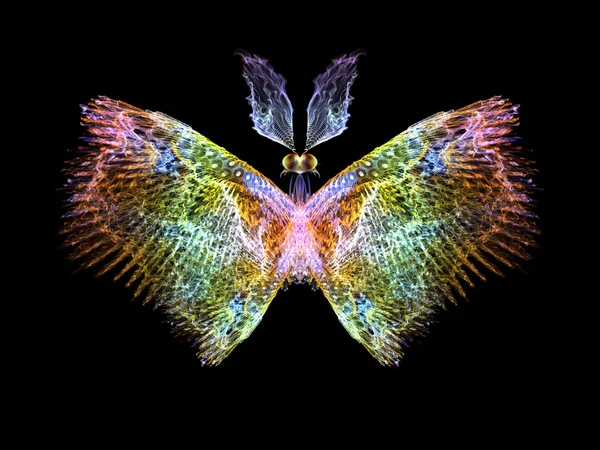 Butterfly Elements — Stock Photo, Image