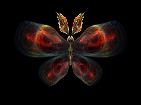 Butterfly Elements — Stock Photo, Image