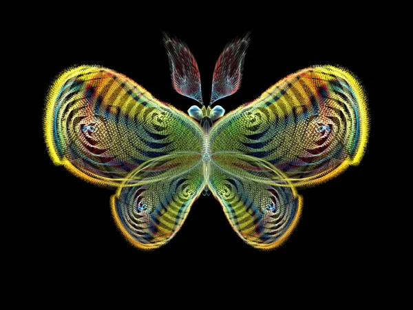 Papillon fractal — Photo