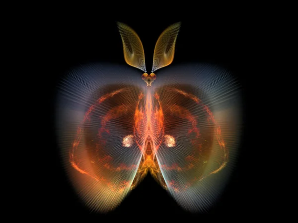 Perhosen eleganssi — kuvapankkivalokuva