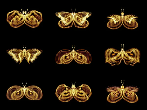 分形蝴蝶的集合 — 图库照片