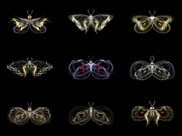 Visualización de mariposas fractales —  Fotos de Stock