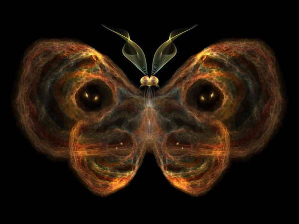 Elegância de borboleta — Fotografia de Stock