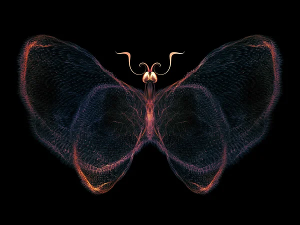 Elegantie van vlinder — Stockfoto