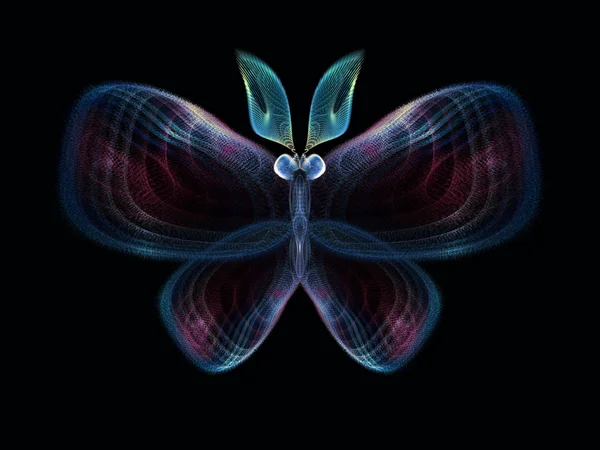 Cool Butterfly — Stock Photo, Image