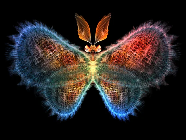 Cool Butterfly — Stock Photo, Image