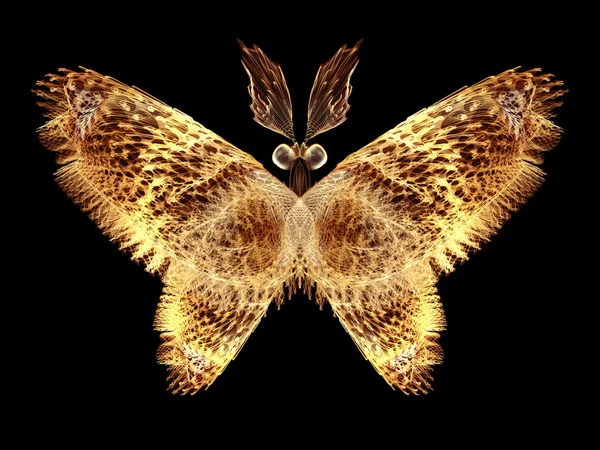 Illusione della farfalla — Foto Stock