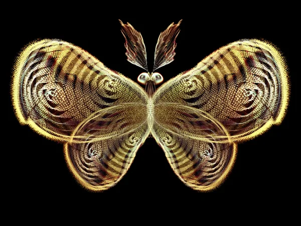 Iluze motýl — Stock fotografie