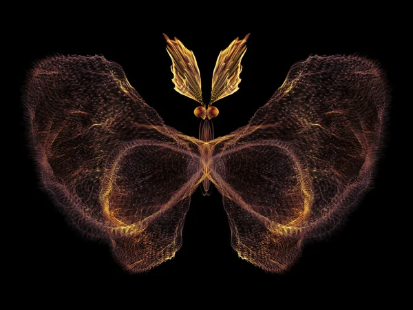 Bloemblaadjes van vlinder — Stockfoto