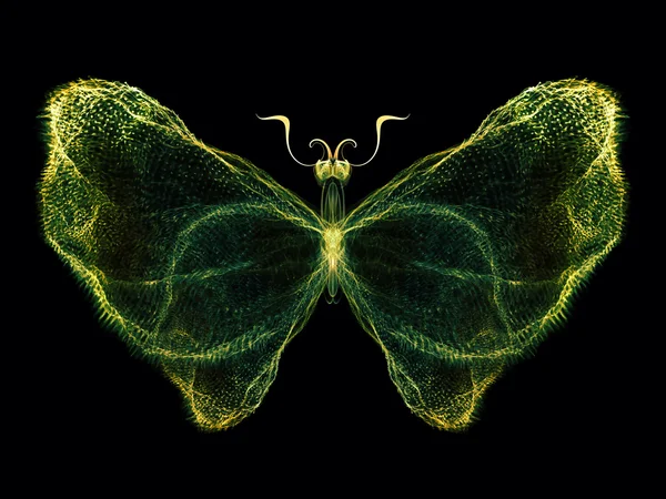 Schmetterlingsabstraktion — Stockfoto