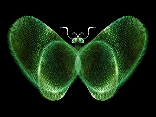 Butterfly Visualization — Stock Photo, Image