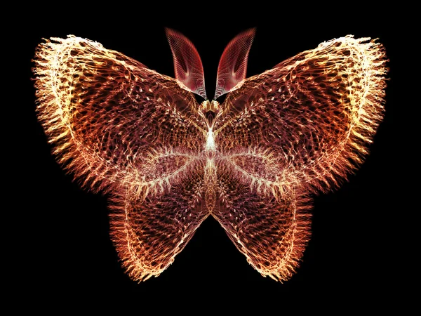 Motyl wizualizacji — Zdjęcie stockowe