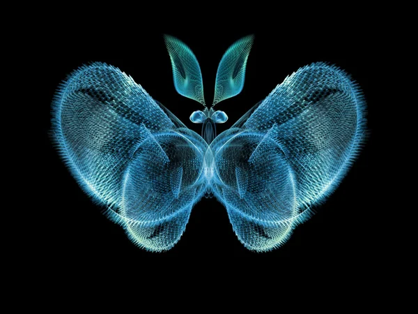 Метелик дизайн — стокове фото