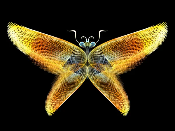 Butterfly Elements — Stock Photo, Image