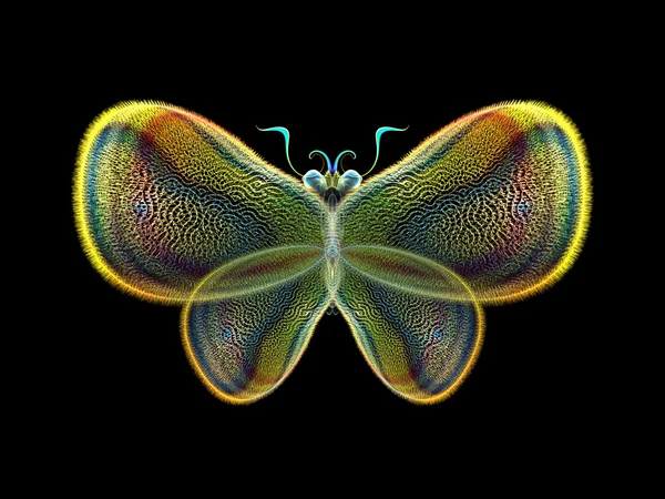 Kelebek elemanları — Stok fotoğraf