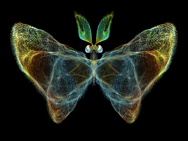 Elementos de mariposa — Foto de Stock