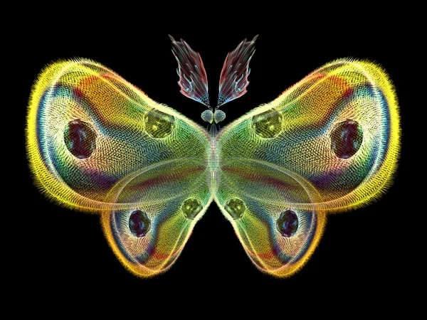 Elementy motyl — Zdjęcie stockowe