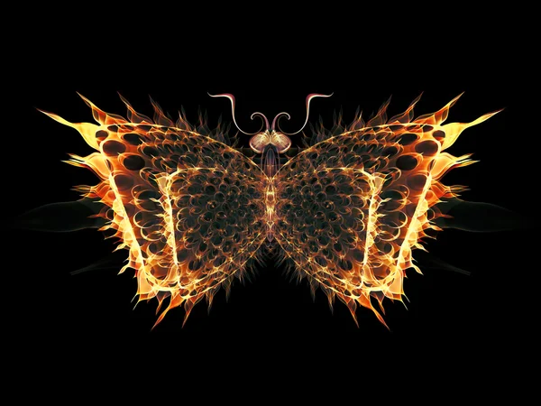 Элегантность бабочки — стоковое фото