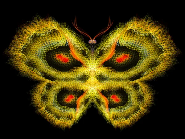 나비의 마법 — 스톡 사진