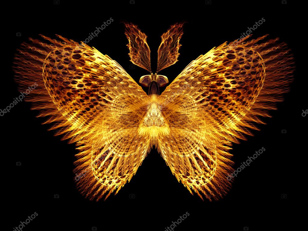 Magic of Butterfly — Stock Photo © agsandrew 40041257